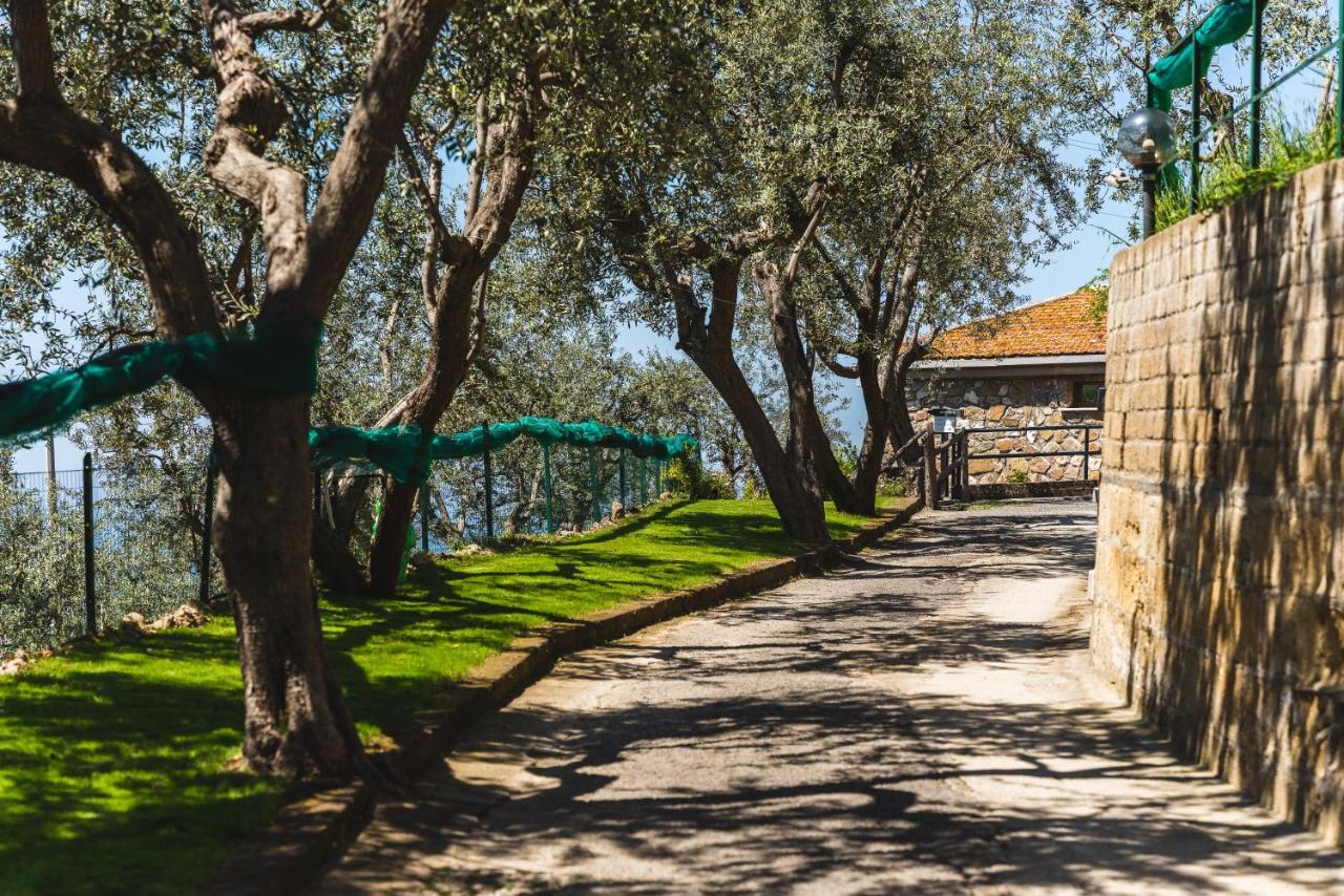 Bed and Breakfast Casa Clementina Marciano Massa Lubrense Exterior foto